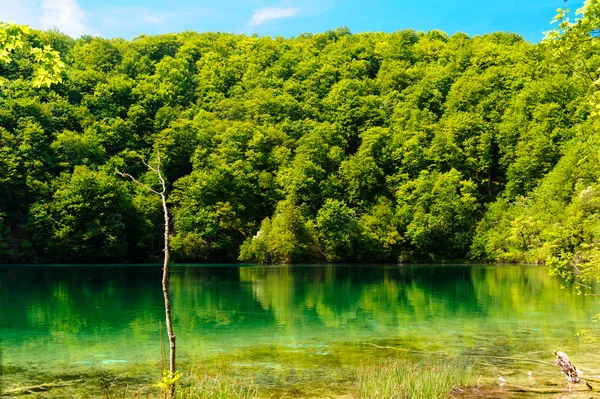 Plitvicei-tavak Nemzeti Park Horvátországban, gyönyörű táj — Stock Fotó