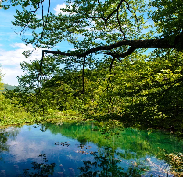 Plitvicei-tavak Nemzeti Park Horvátországban, gyönyörű táj — Stock Fotó