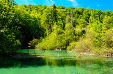 güzel manzara. Plitvice Gölleri Milli Parkı Hırvatistan