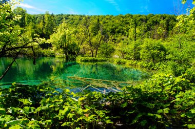 güzel manzara. Plitvice Gölleri Milli Parkı Hırvatistan