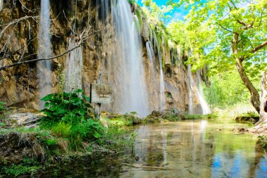 plitvice gölleri Milli Parkı Hırvatistan'ın güzel şelale