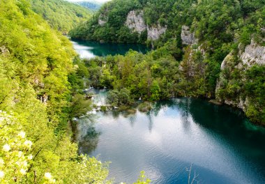 güzel manzara. Plitvice Gölleri Milli Parkı Hırvatistan