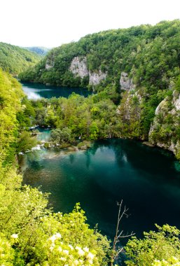 güzel manzara. Plitvice Gölleri Milli Parkı Hırvatistan