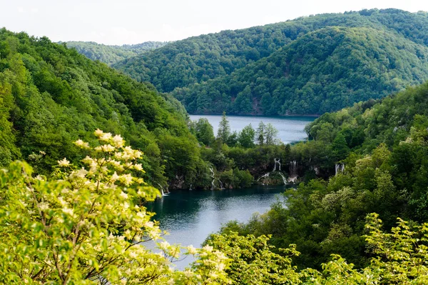 सुंदर परिदृश्य। Plitvice क्रोएशिया में राष्ट्रीय उद्यान झीलों — स्टॉक फ़ोटो, इमेज