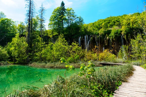 Gyönyörű táj. Plitvicei tavak Nemzeti Park-Horvátország — Stock Fotó