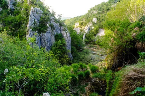 Güzel manzara. Plitvice Gölleri Milli Parkı Hırvatistan — Stok fotoğraf
