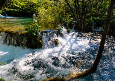 güzel bir şelale. Plitvice Gölleri Milli Parkı Hırvatistan