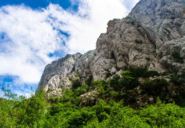 doğal dağ manzarası. Hırvatistan'daki Paklenica Milli Parkı