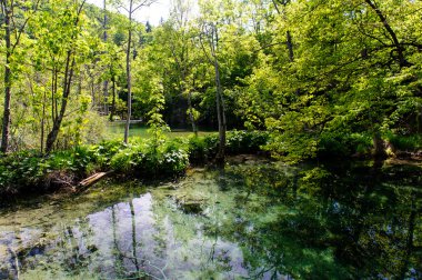 Güzel doğa. Hırvatistan 'da Plitvice Lakes Ulusal Parkı