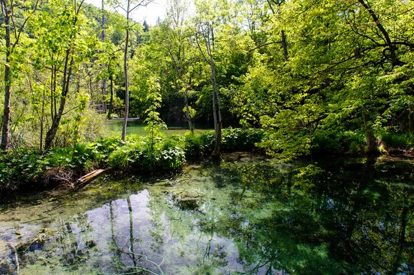 Hermosa naturaleza. Parque Nacional de los Lagos de Plitvice en Croacia —  Fotos de Stock