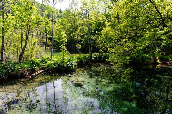 stock image Beautiful nature. Plitvice Lakes National Park in Croatia