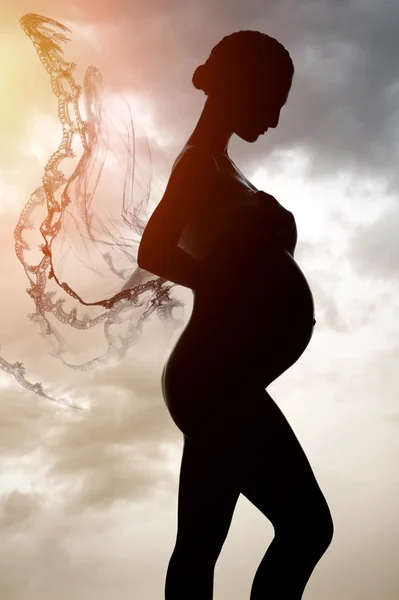 stock image Beautiful silhouette of pregnant woman