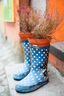 Rubber boots and flowerpot outdoors