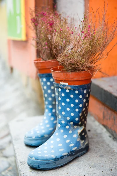 Gumové boty a květináč venkovní — Stock fotografie