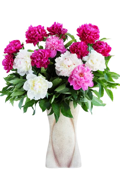 Bouquet di peonie — Foto Stock