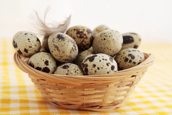 Smal eggs in the basket — Stock Photo, Image