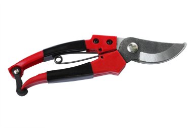 Secateurs