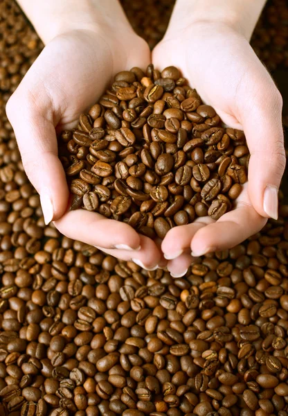 stock image Fresh roasted coffee beans in hands