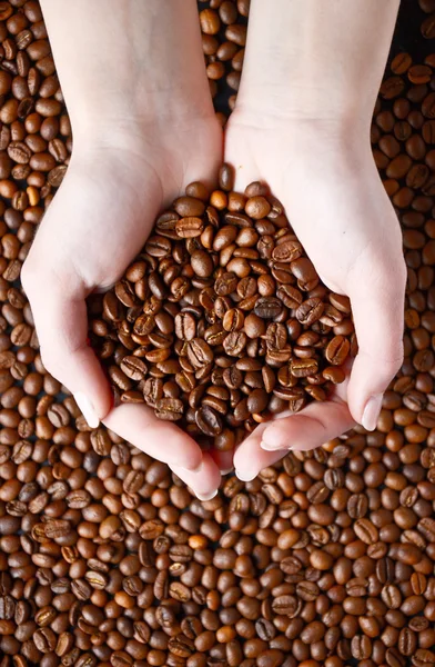 stock image Coffee beans in hand