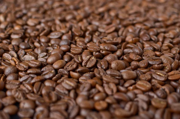 Coffee beans macro shot — Stock Photo, Image