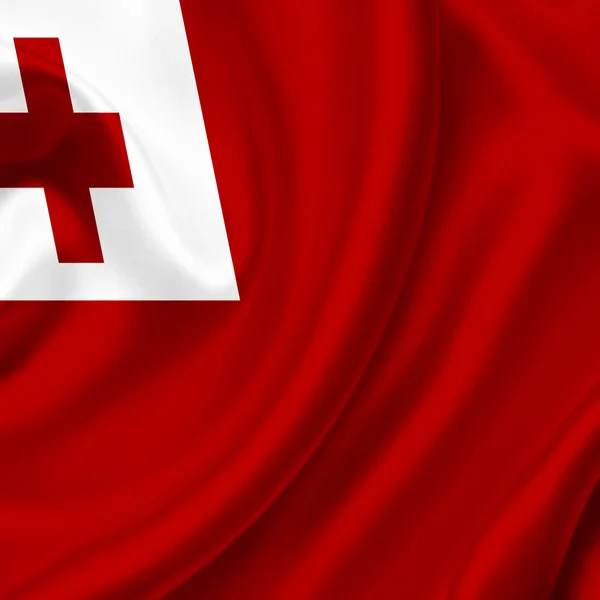 Tonga schwenkt Flagge — Stockfoto