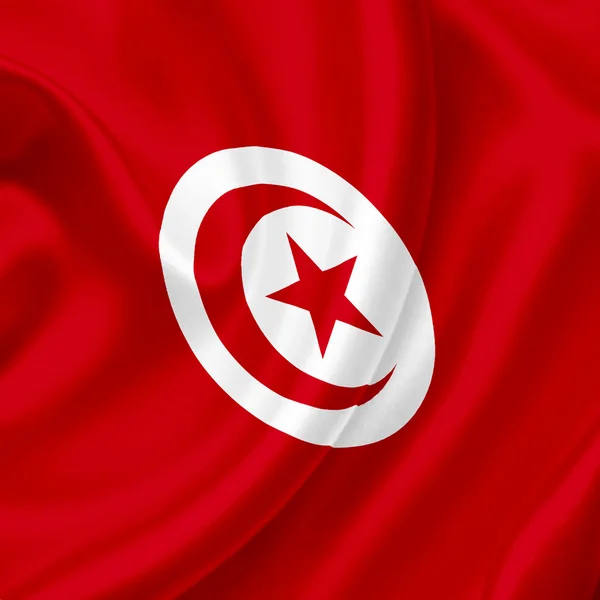 Wapperende vlag van Tunesië — Stockfoto