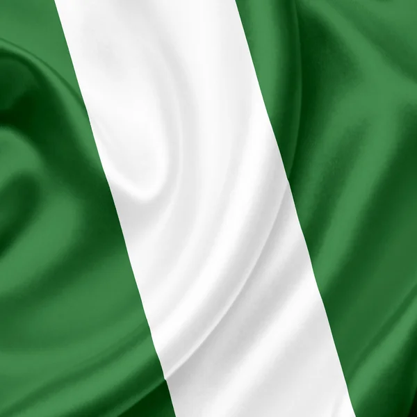 Nigeria schwenkt Flagge — Stockfoto