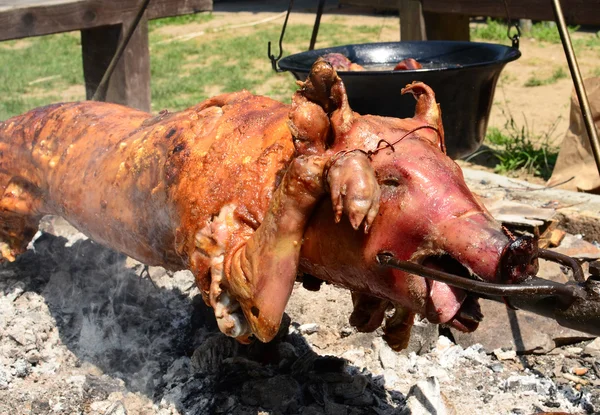 Bir yangın kavrulmuş domuz — Stok fotoğraf