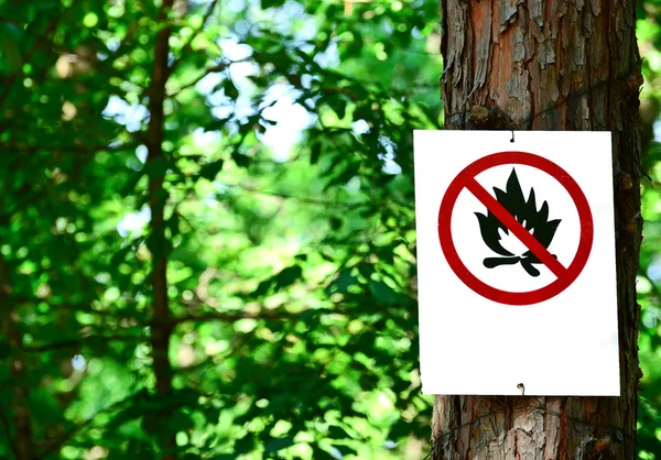 Sign on tree in forest - Prohibited fire concept — Stock Photo, Image