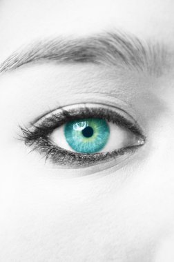 Blue eye with make up isolated clipart