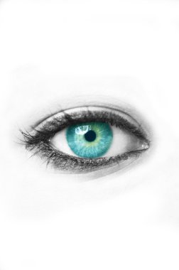 Blue eye isolated on white clipart