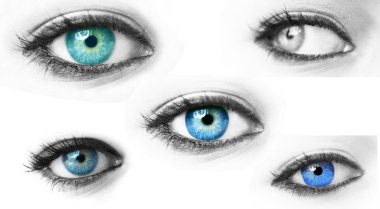 Collection of blue woman eyes isolated on white clipart