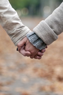 Closeup of couple holding hands while walking in park clipart