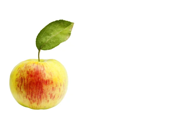 Apfel mit grünem Blatt — Stockfoto