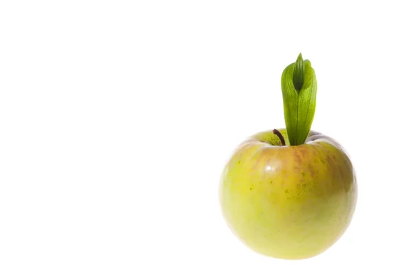 Zelené jablko ovoce s listy izolované na bílém pozadí — Stock fotografie