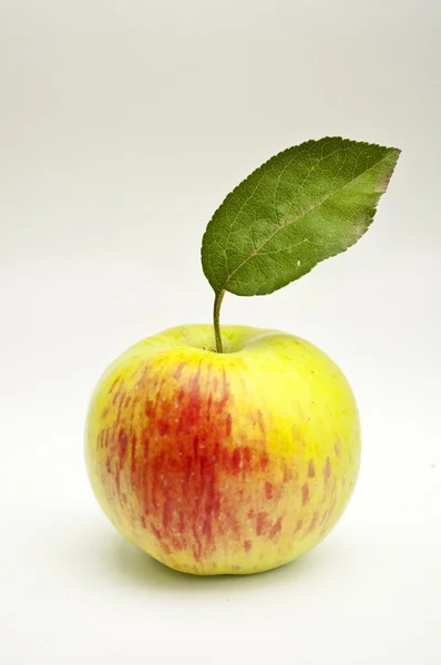 Νωπά apple απομονωθεί σε λευκό — Φωτογραφία Αρχείου