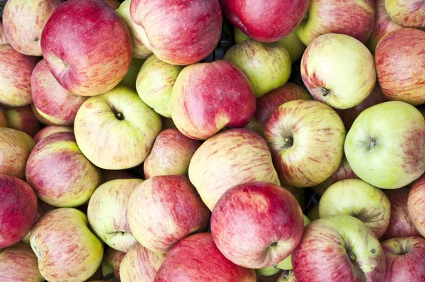 Φρέσκα μήλα φόντο - μπορεί να χρησιμοποιηθεί ως ταπετσαρία — Φωτογραφία Αρχείου
