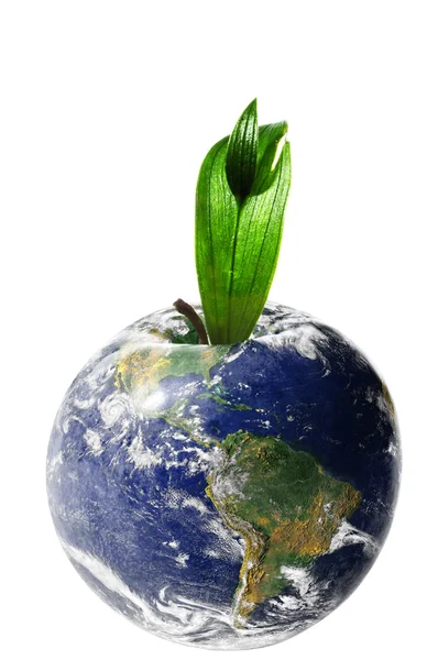 Apple Earth isolado em branco — Fotografia de Stock