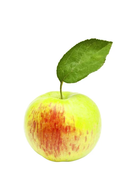 Manzana fresca aislada en blanco —  Fotos de Stock