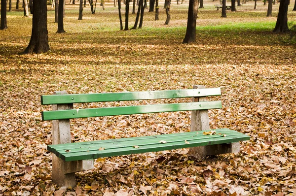 秋の森の市の公園のベンチ — ストック写真