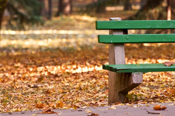 Empty green bench in the autumnal park — Stock Photo, Image