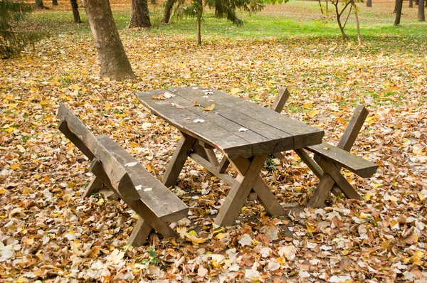 Piknik drewniany stół i ławki w jesień las — Zdjęcie stockowe