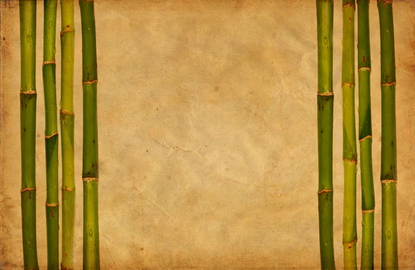stock image Grunge bamboo and paper background