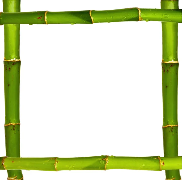 Moldura de bambu feita de hastes isoladas em branco — Fotografia de Stock