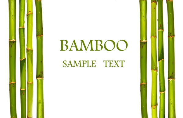 Palos de bambú aislados —  Fotos de Stock