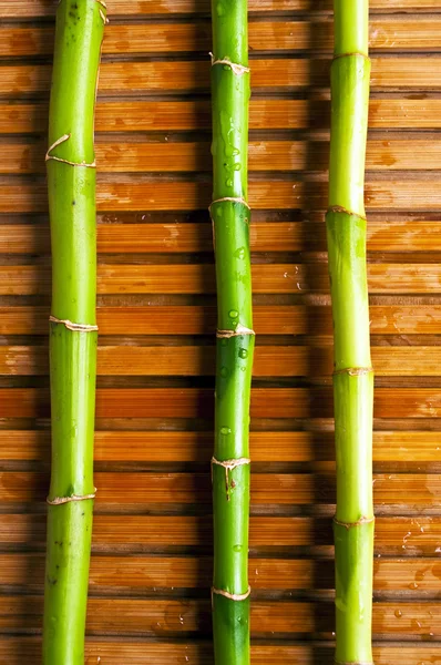 Бамбукові палиці — стокове фото