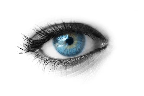Makro modrého oka — Stock fotografie