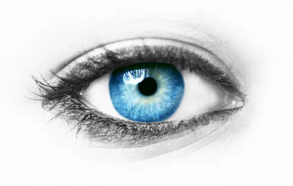 Modré oko izolované — Stock fotografie