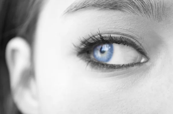 Oční make-up makro snímek目の化粧のマクロ撮影 — ストック写真