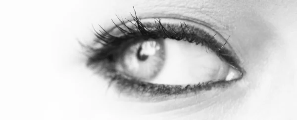 Woman eye macro shot — Stock Photo, Image
